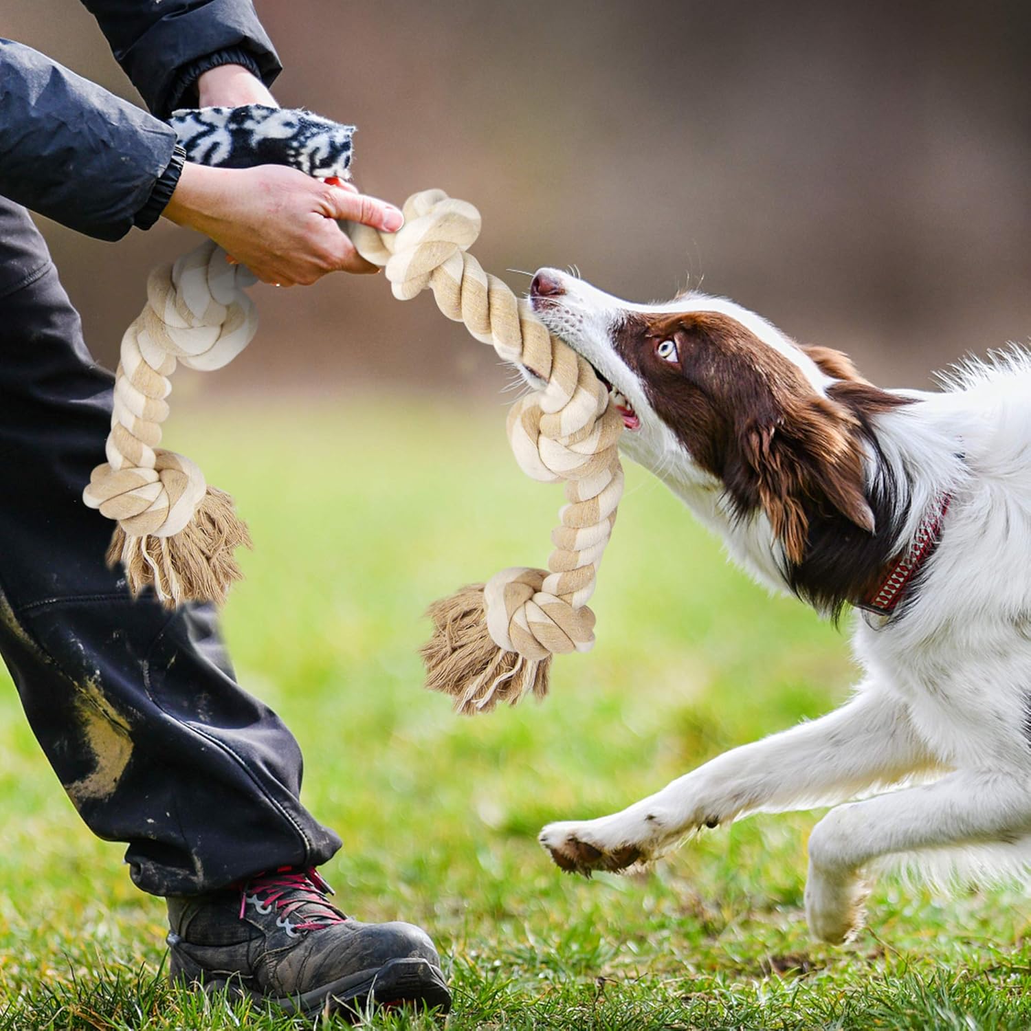 Dog Rope Toys for Large/Medium Aggressive Chewers